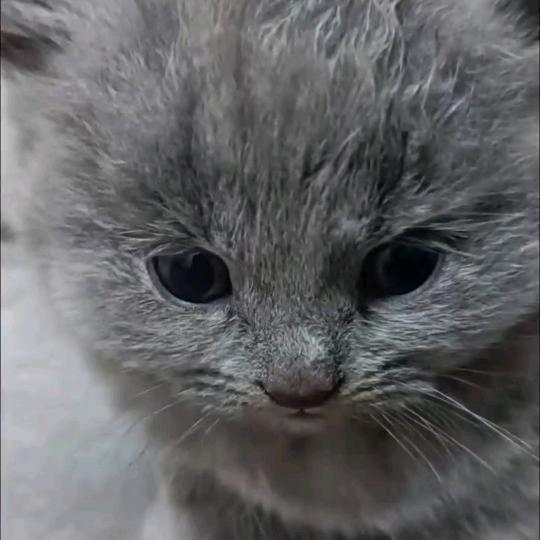 @祥瑞（杂货店）