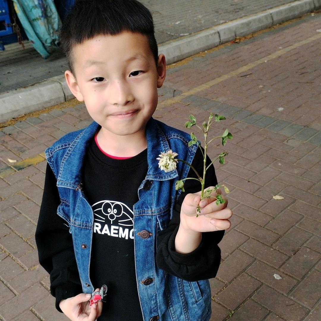 💫清风明月💫