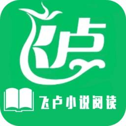 飞卢光辉