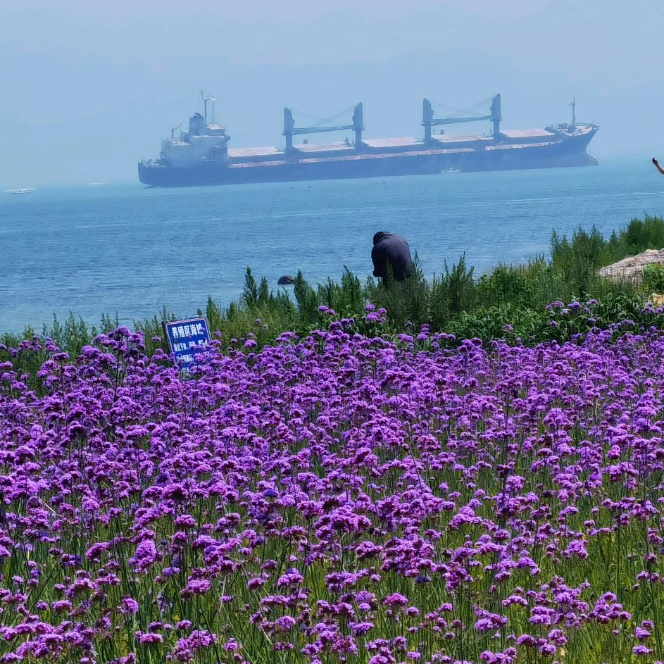 云淡风轻☁️☁️