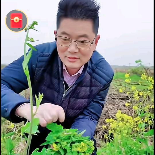 金哥乡村记