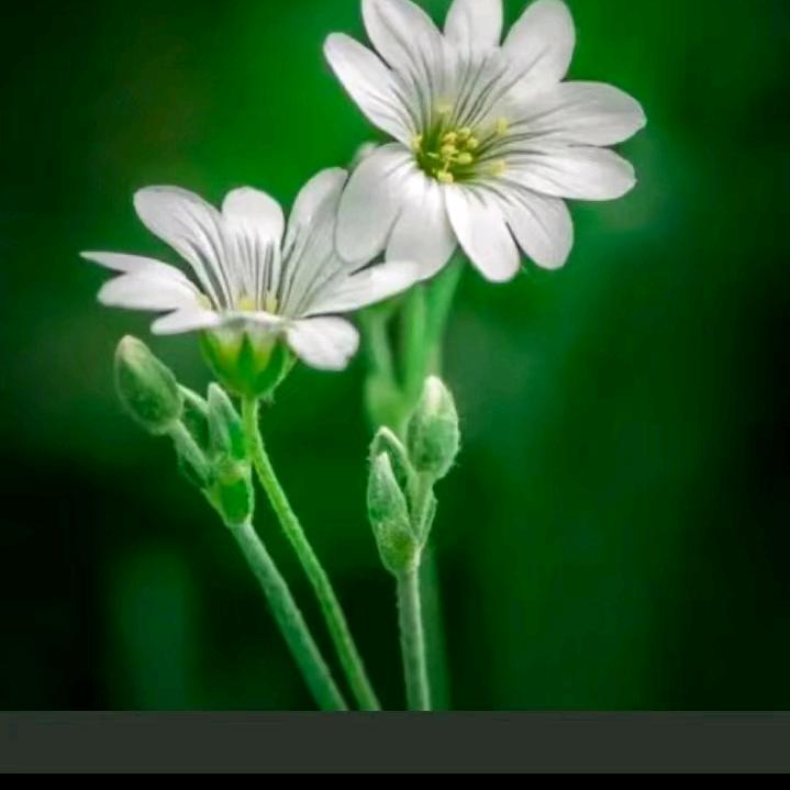 (༼ つ ◕‿◕ ༽つ∝一