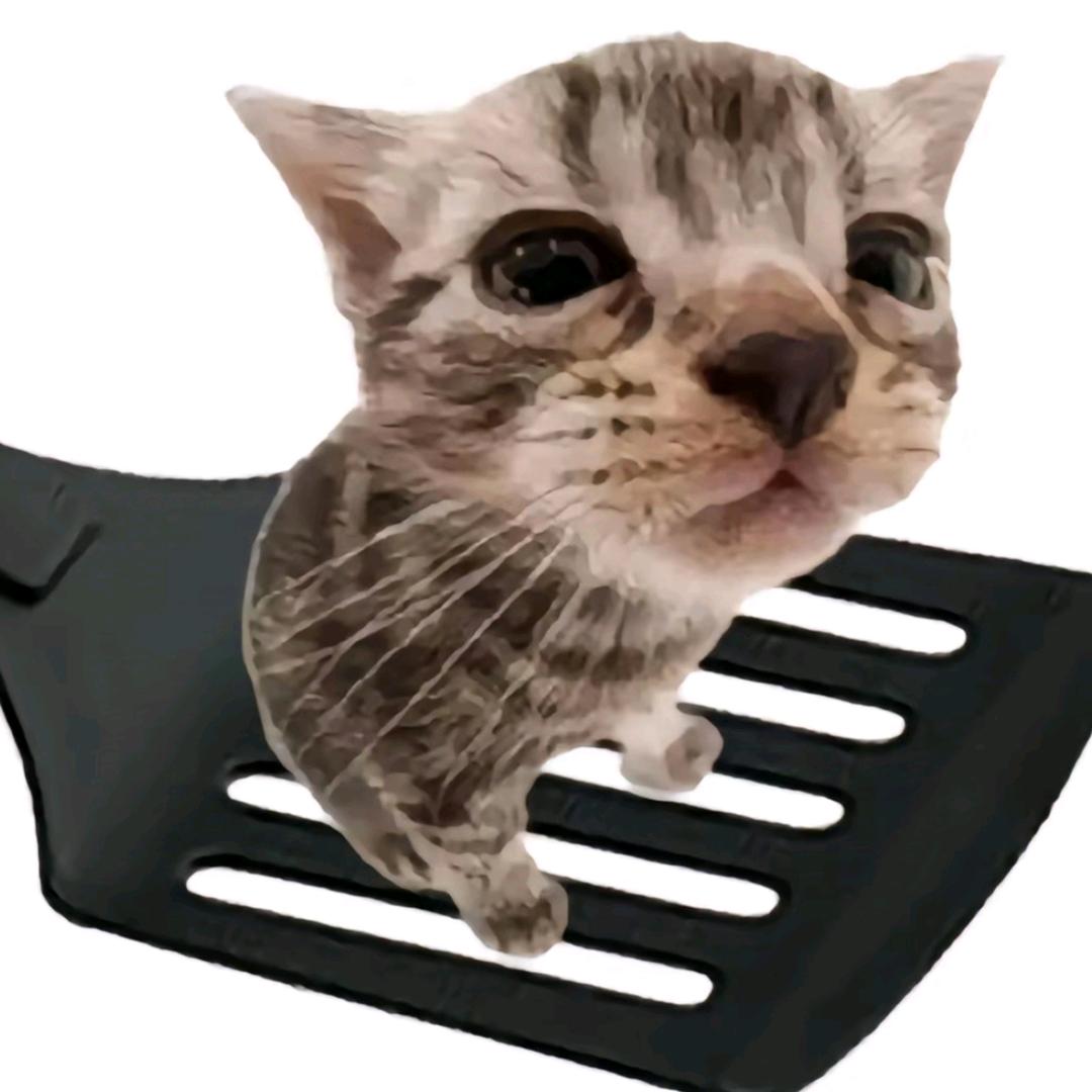 脆脆米