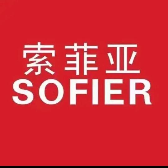 索菲亚正举装饰