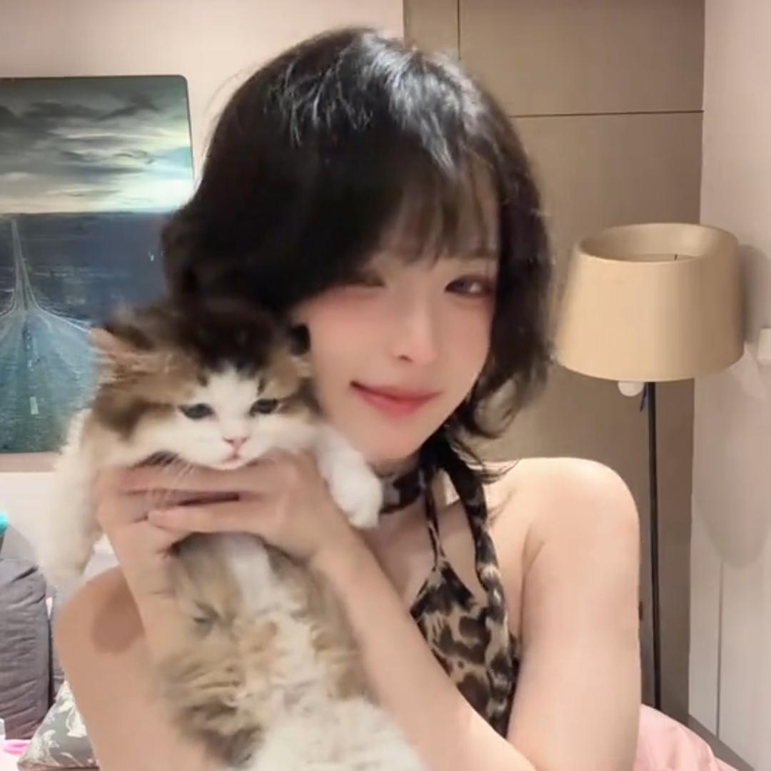 兔娘的小猫咪