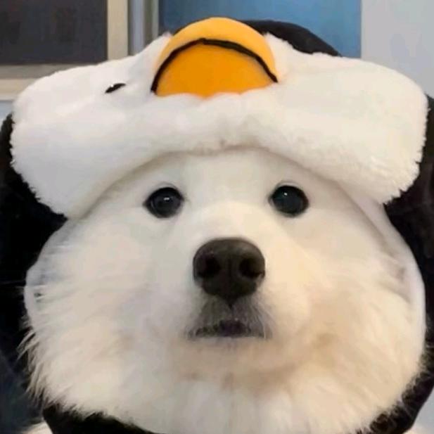 开心小果