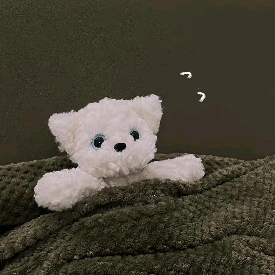 蛋卷大王