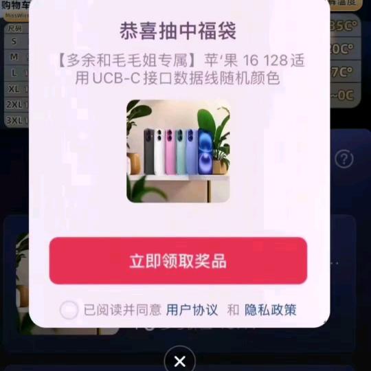 Sara-莎拉在香港