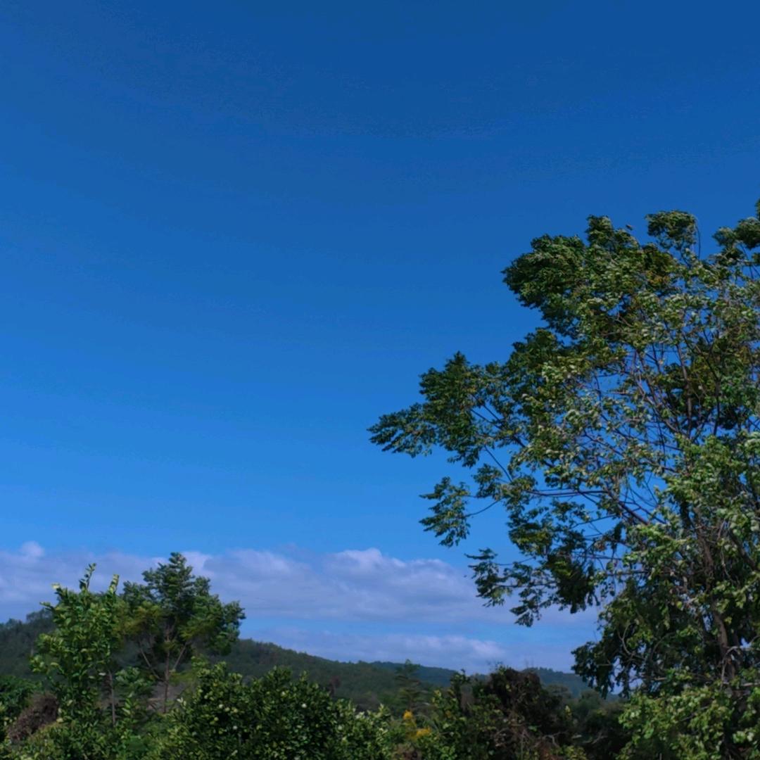 穿长衫席地而坐