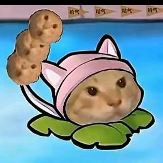 会打瓦的go学长