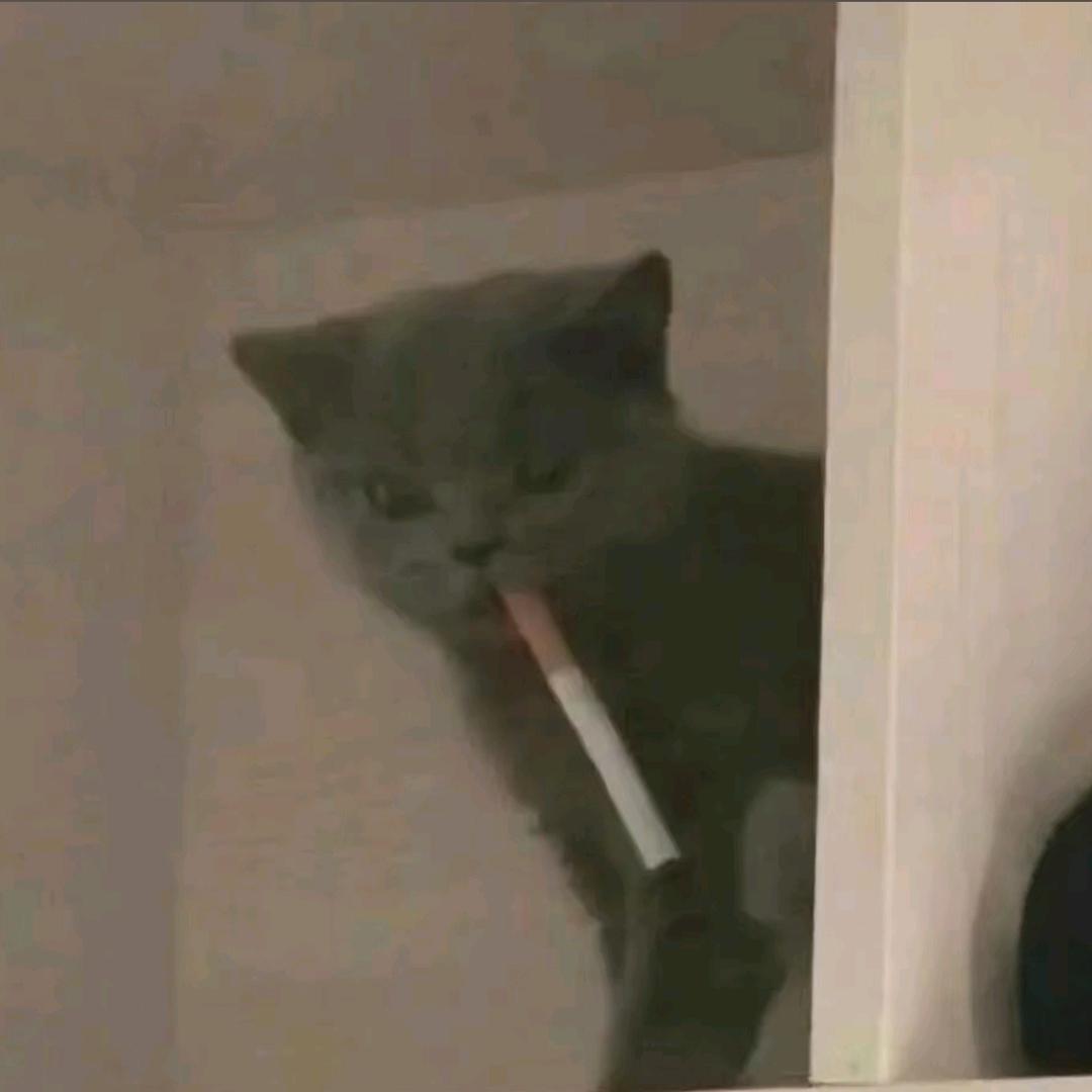 旧空城系统-小号