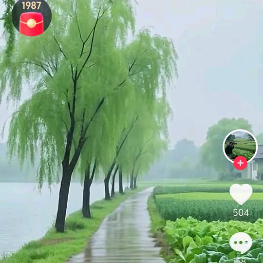 一米阳光🌞