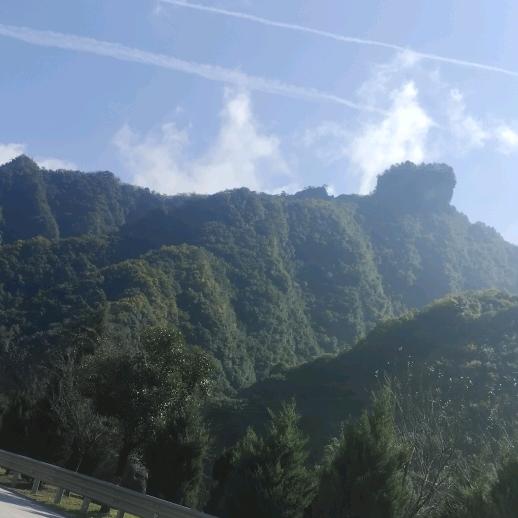 🍎平🥚淡🥬🍑🍓