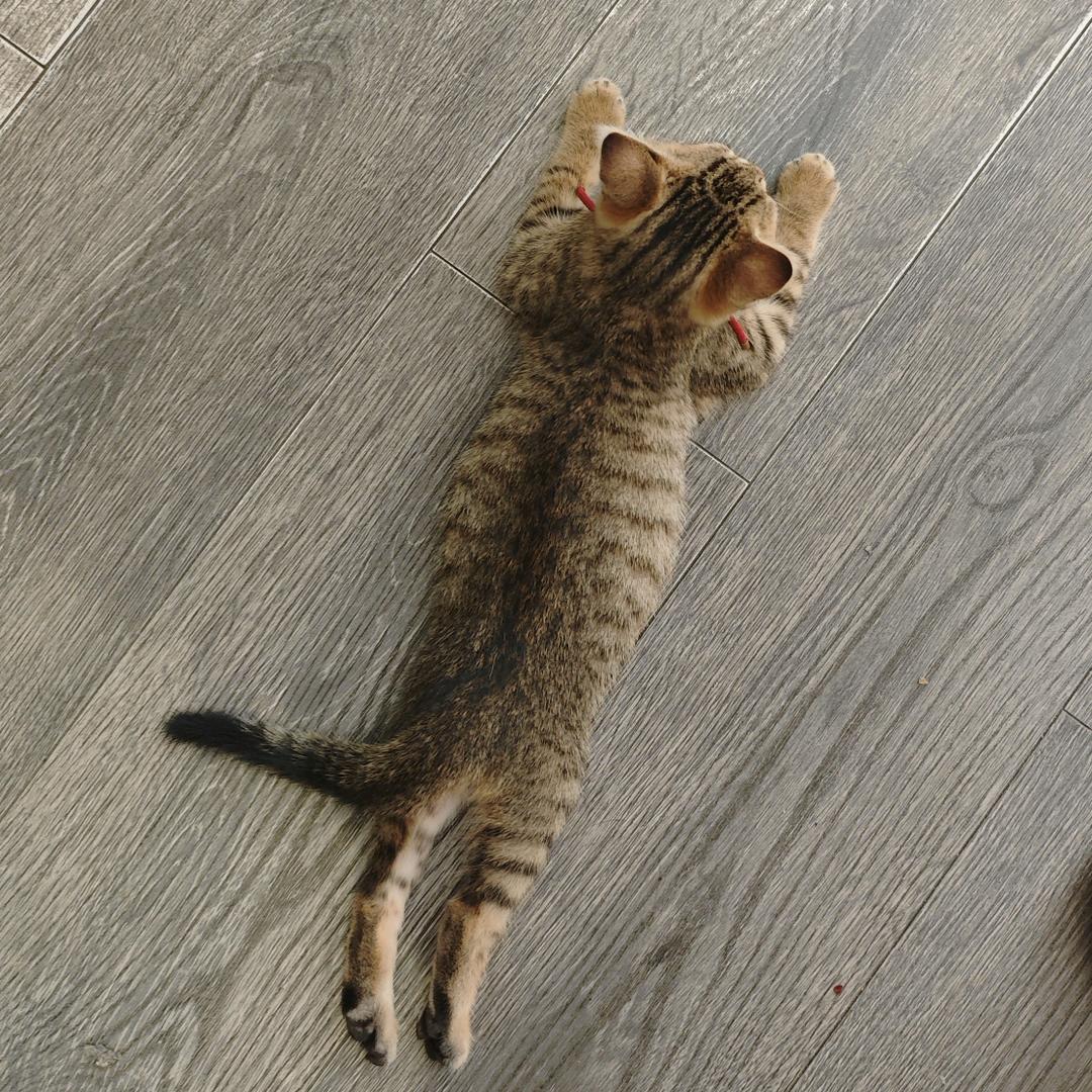 加油加油努力干