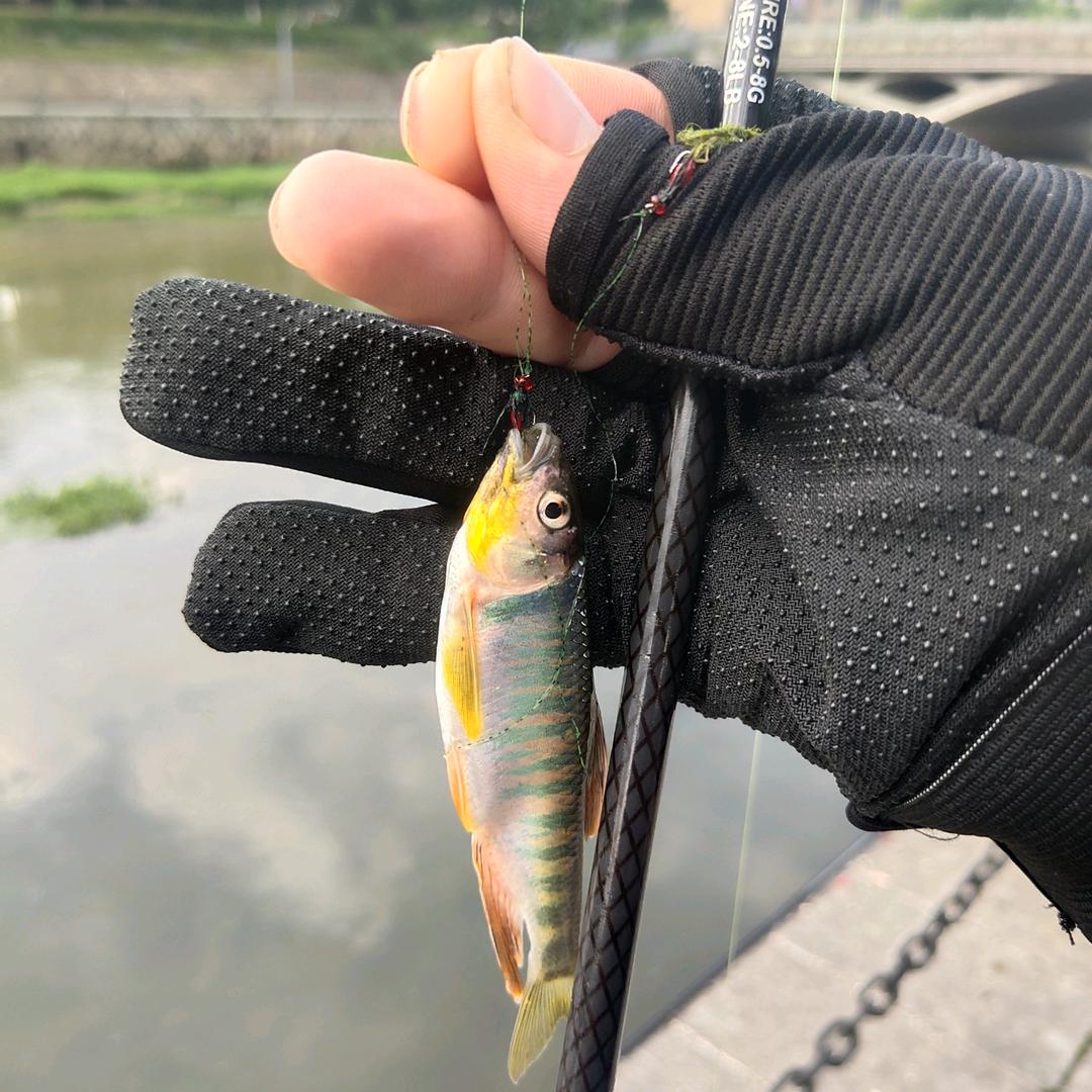 @李↪拜天♥路亚🎣