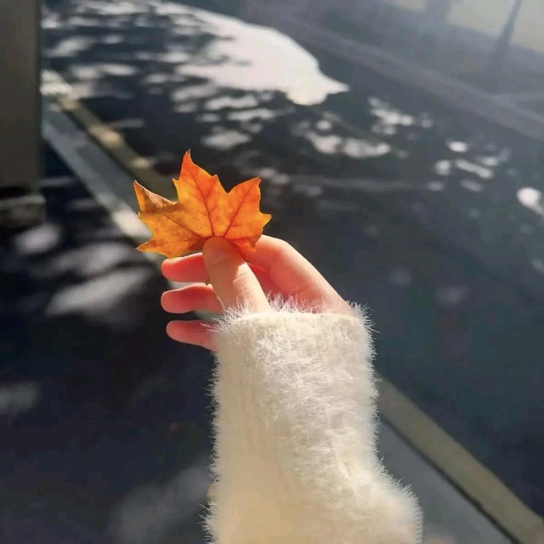 宁静致远❤️