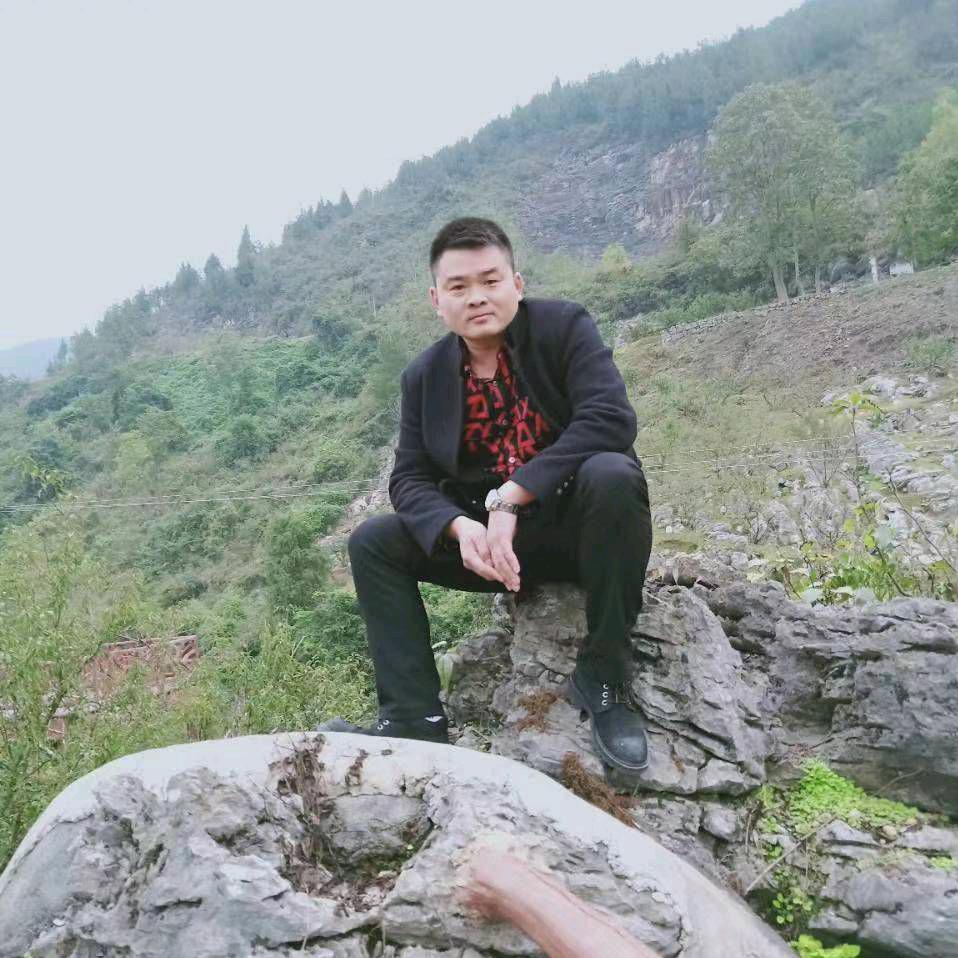 松匠园艺《小侯》