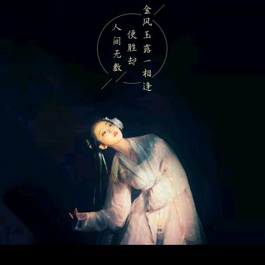 飘叶寻梦