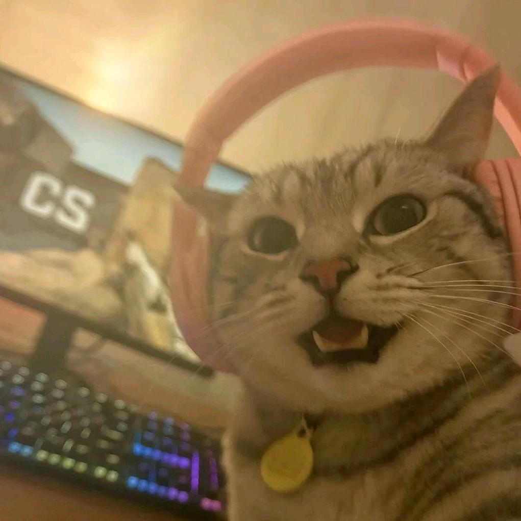 羽