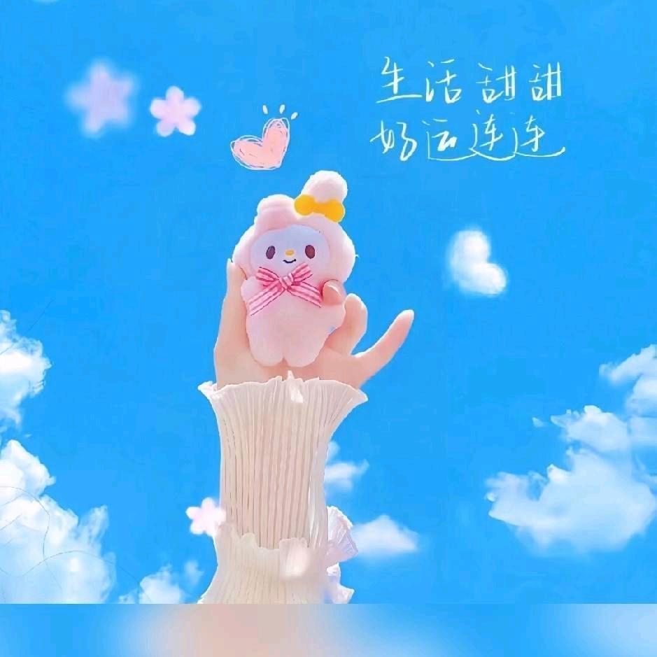 添添开心就好🦈