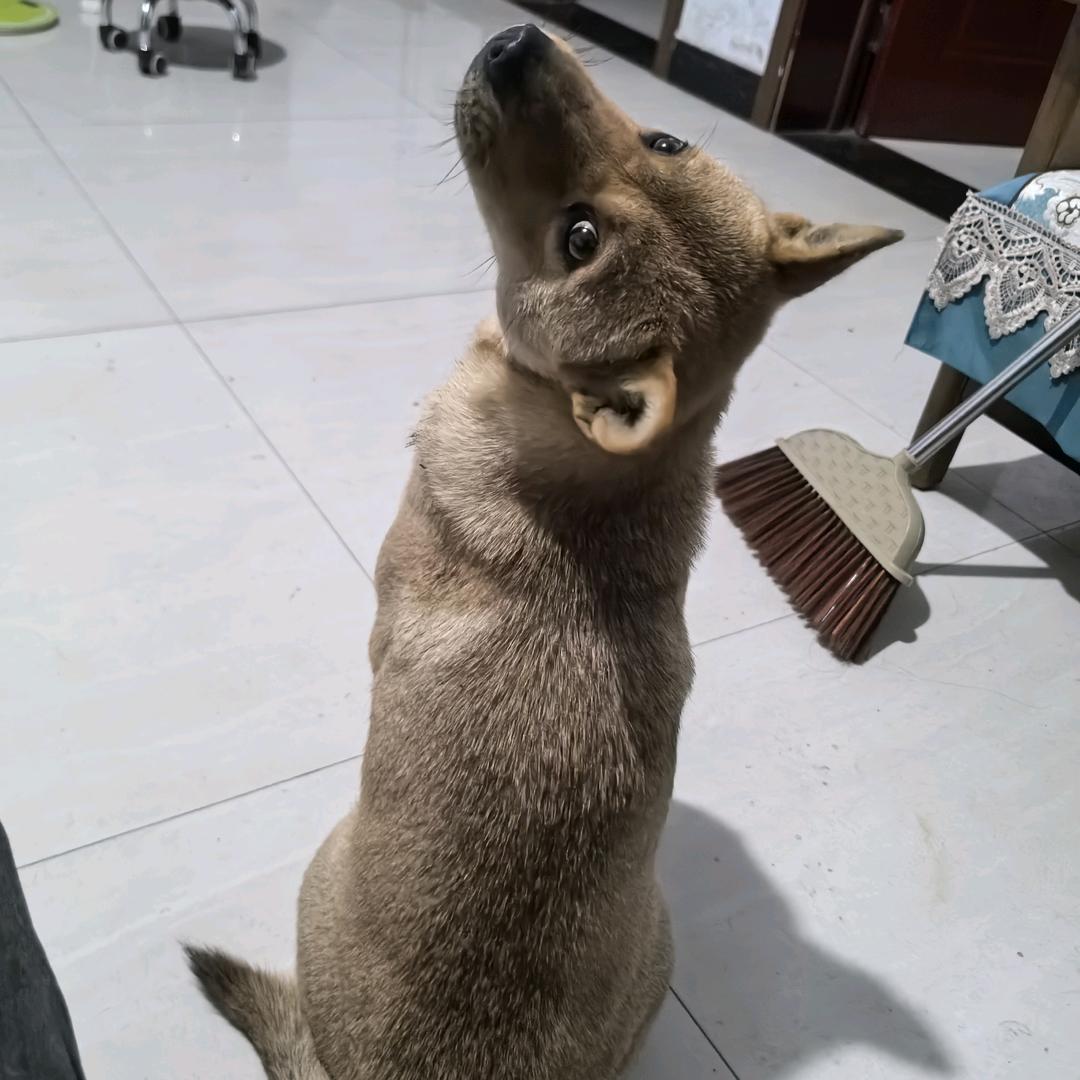 喜乐满仓～