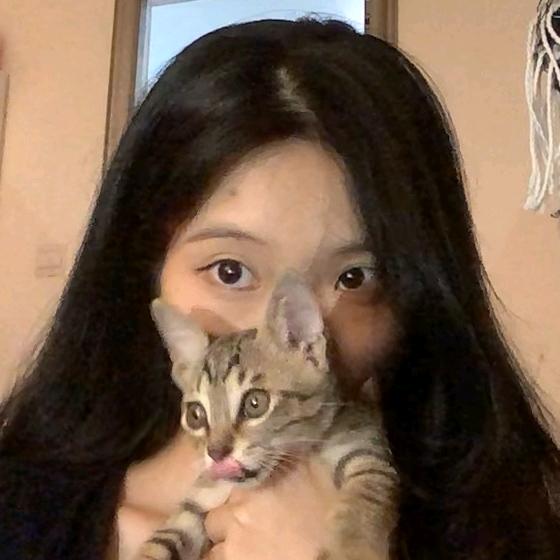 🐏🐑好运当头