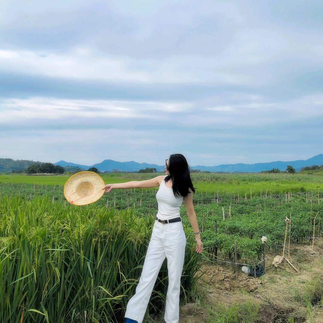 空运小魚儿