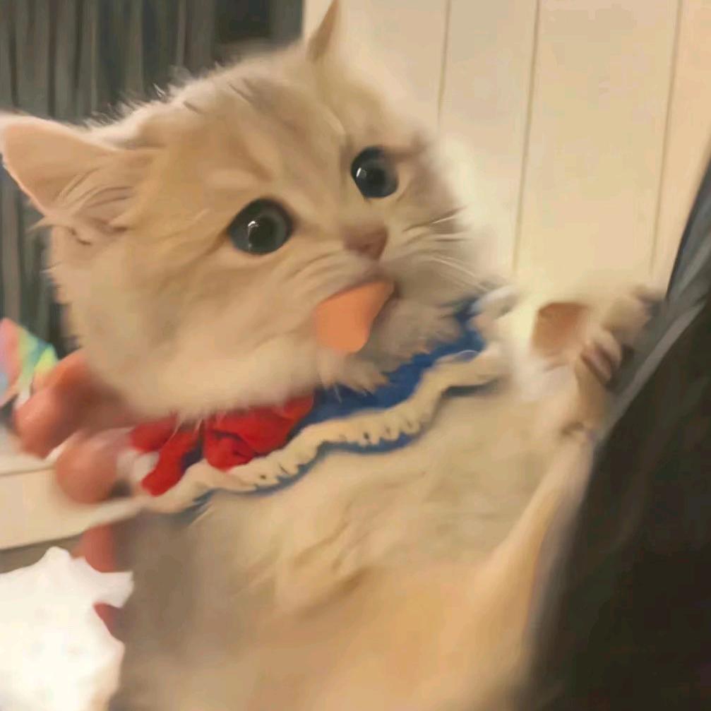小刘困困💛
