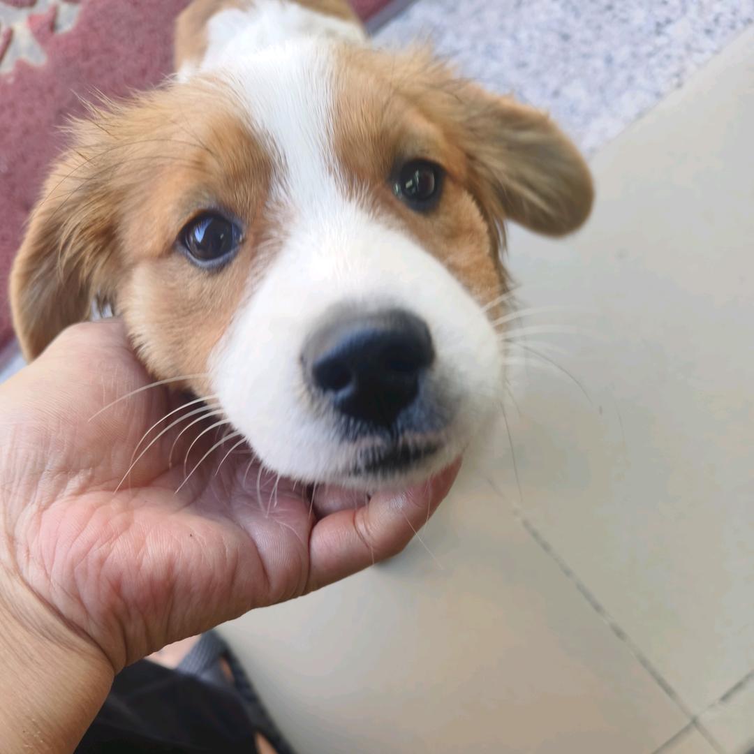 喂！幾時執返劑啊