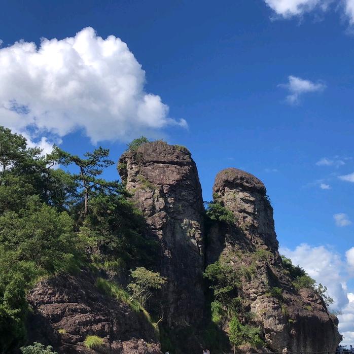 半身轻狂半身伤