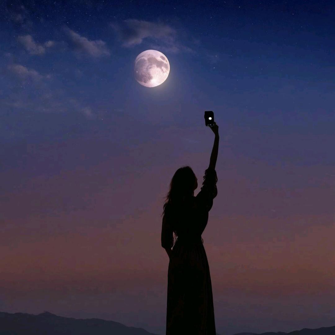 💞莫妮卡⁰⁰💞