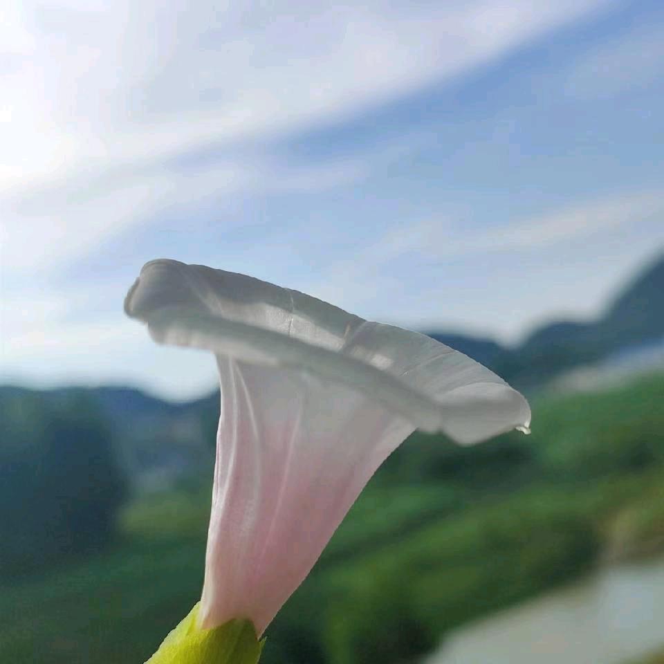 有苦无处说！