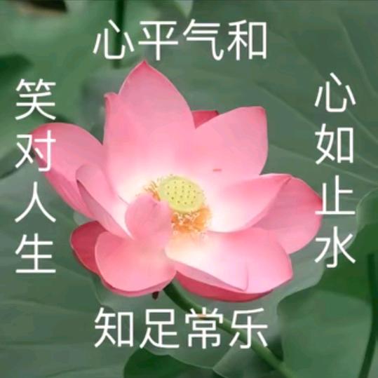心平气和123