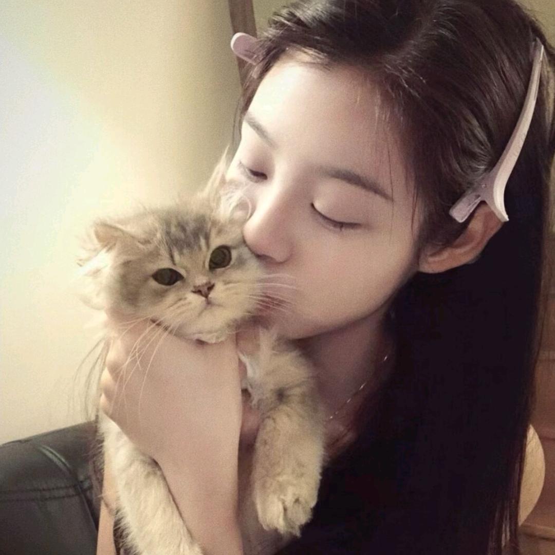 浆果猫.
