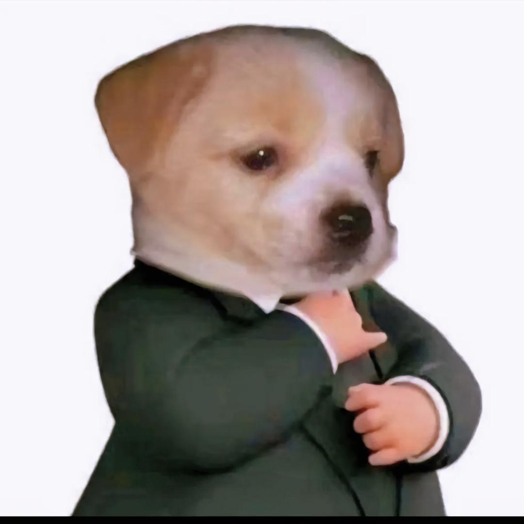 AAA—房产批发商沈姐