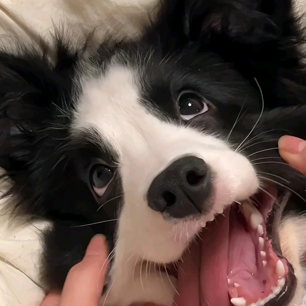 哎！