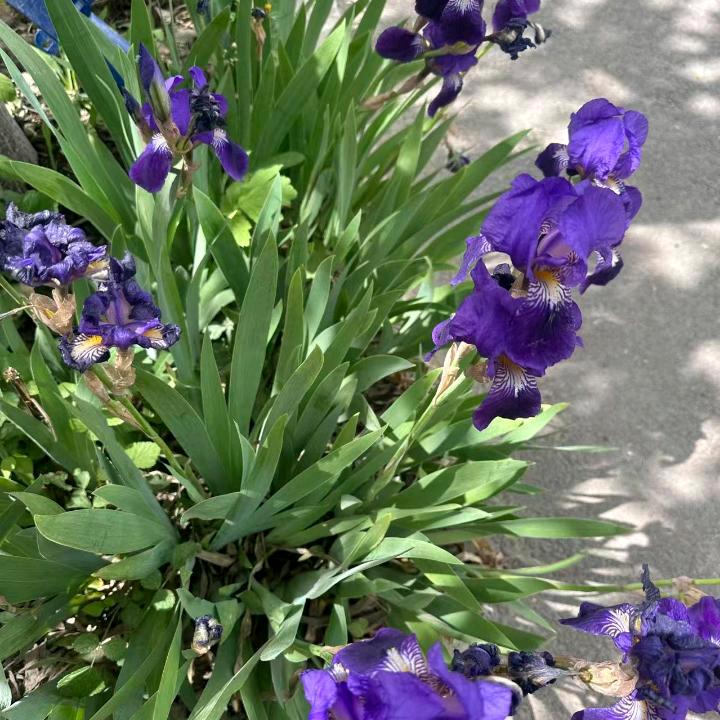 让暖阳护你周全