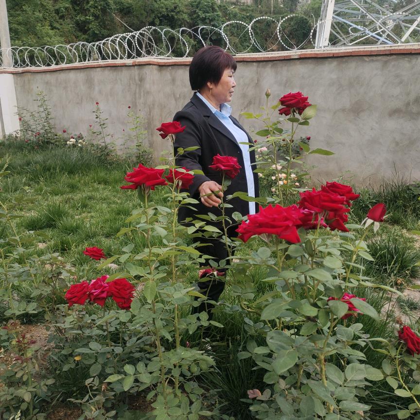 兰花姐