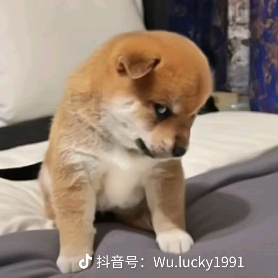 @春是万物复苏