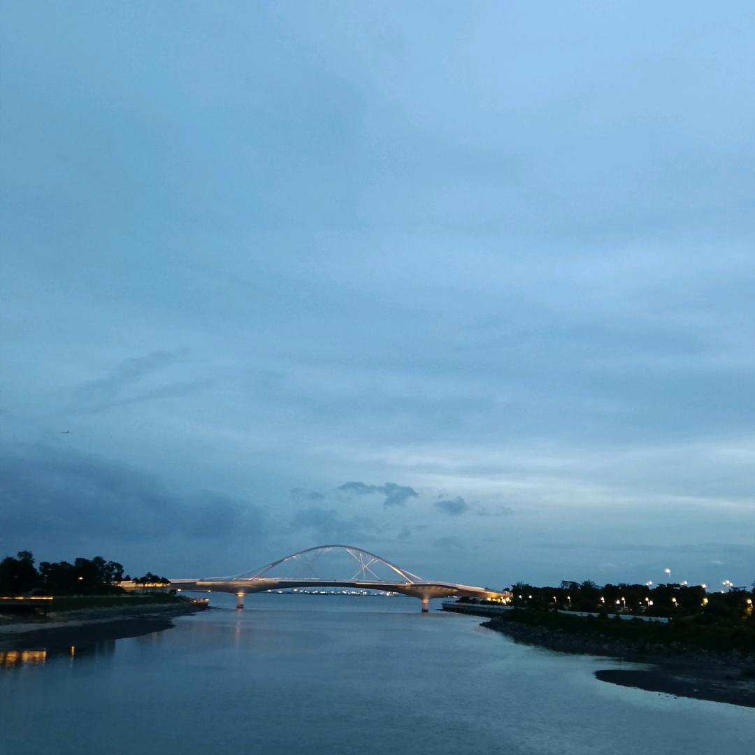 一路向杨