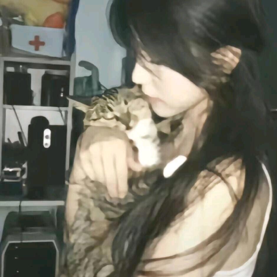 小鱼