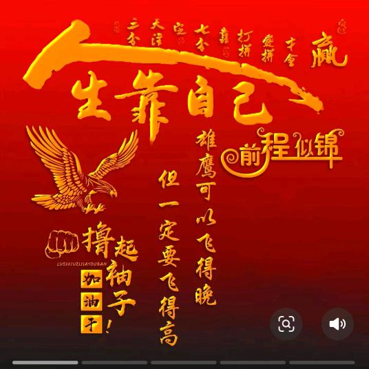 飞扬