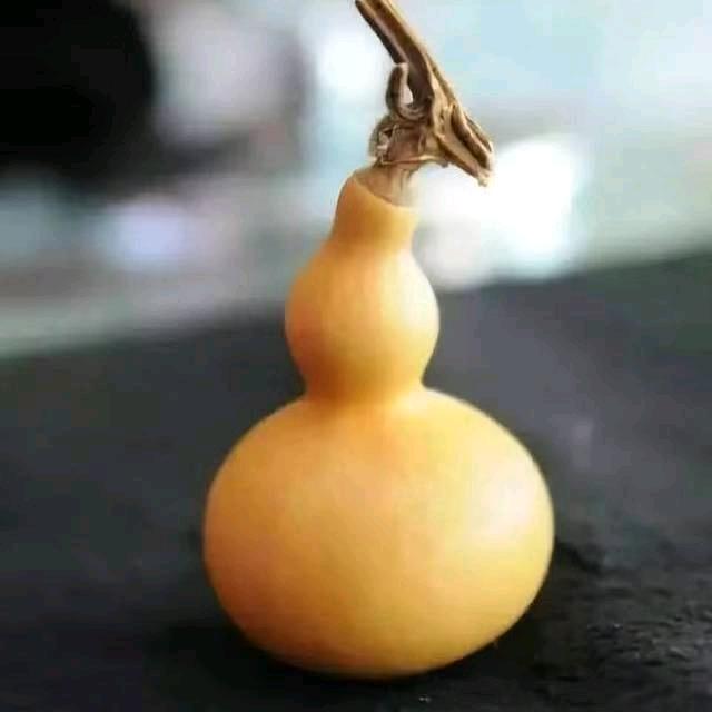 鲁豫情
