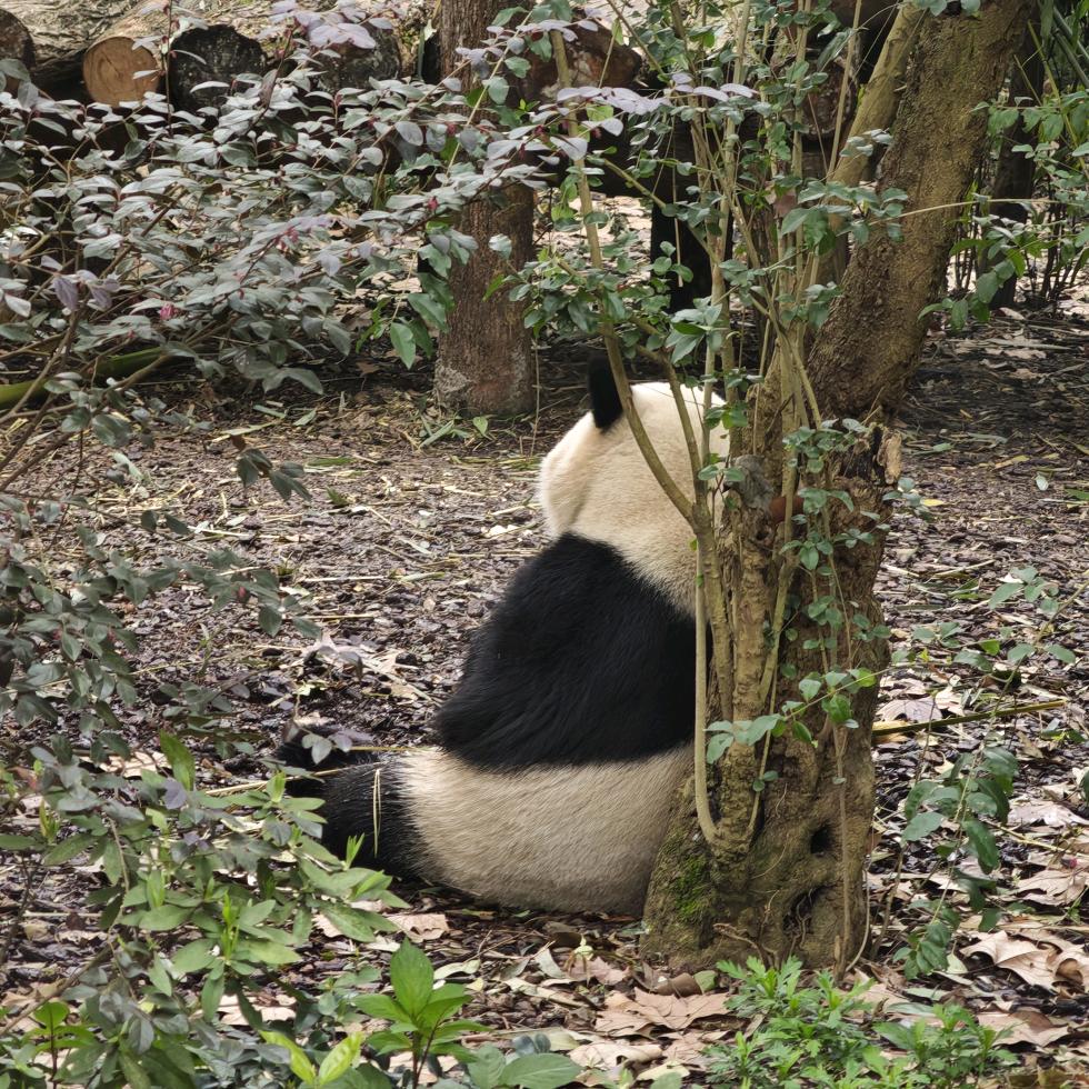 2U
