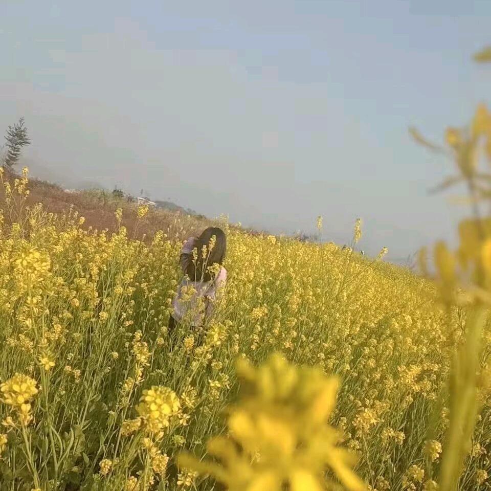 唉