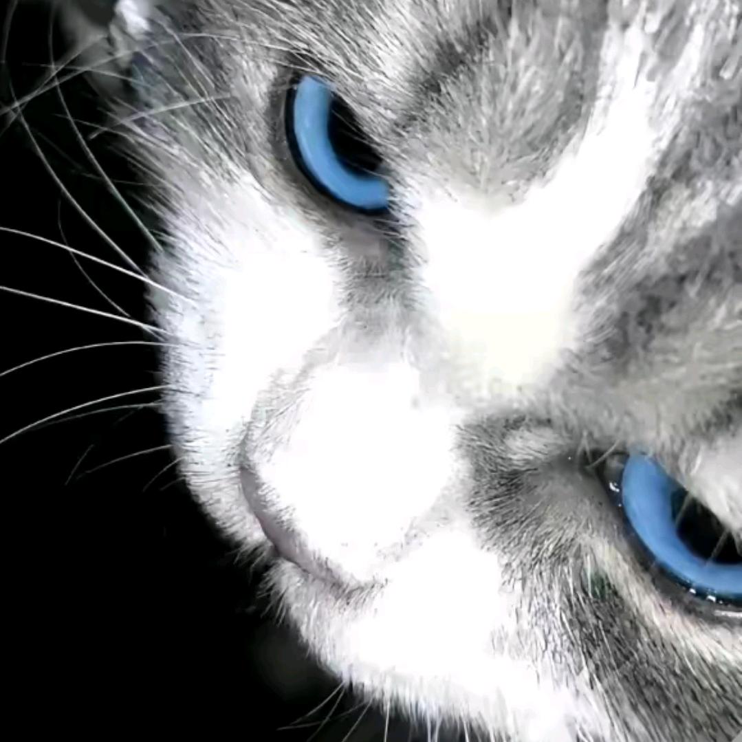 🌈🌈林不林呀！