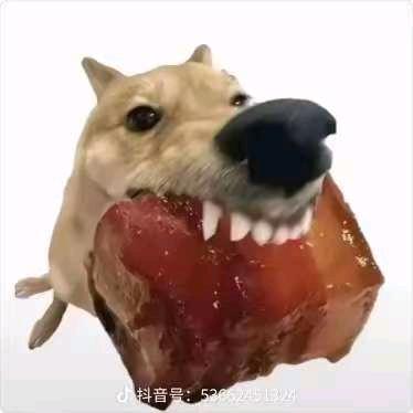 爱帅帅