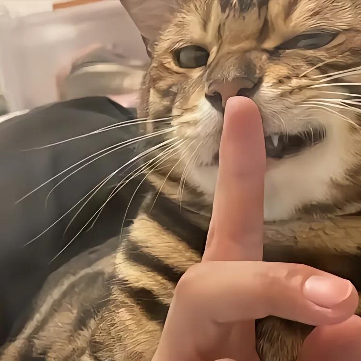 苏北