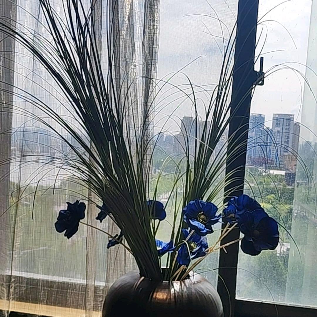 糊涂涂