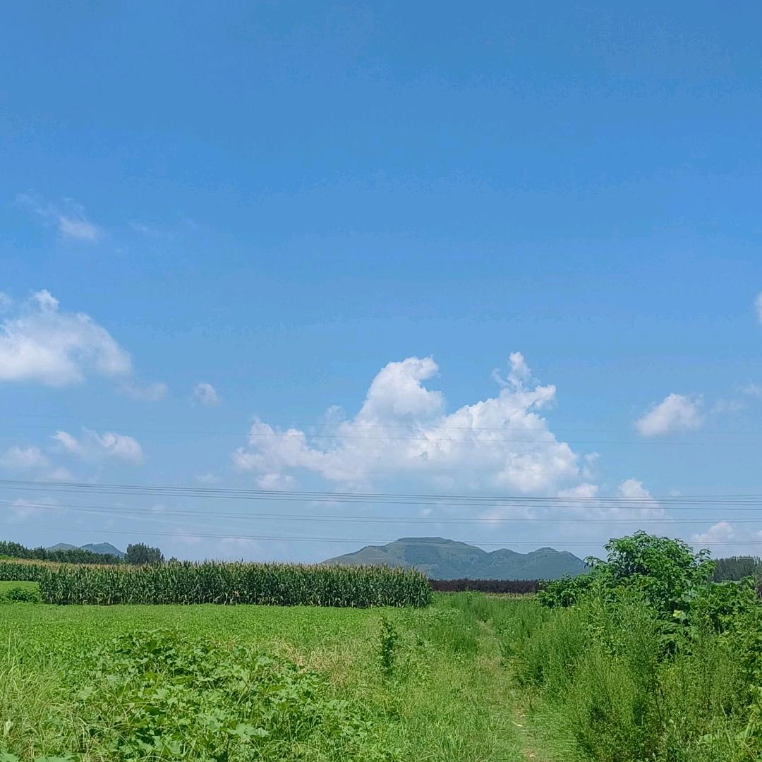 心心翻新沙发换皮